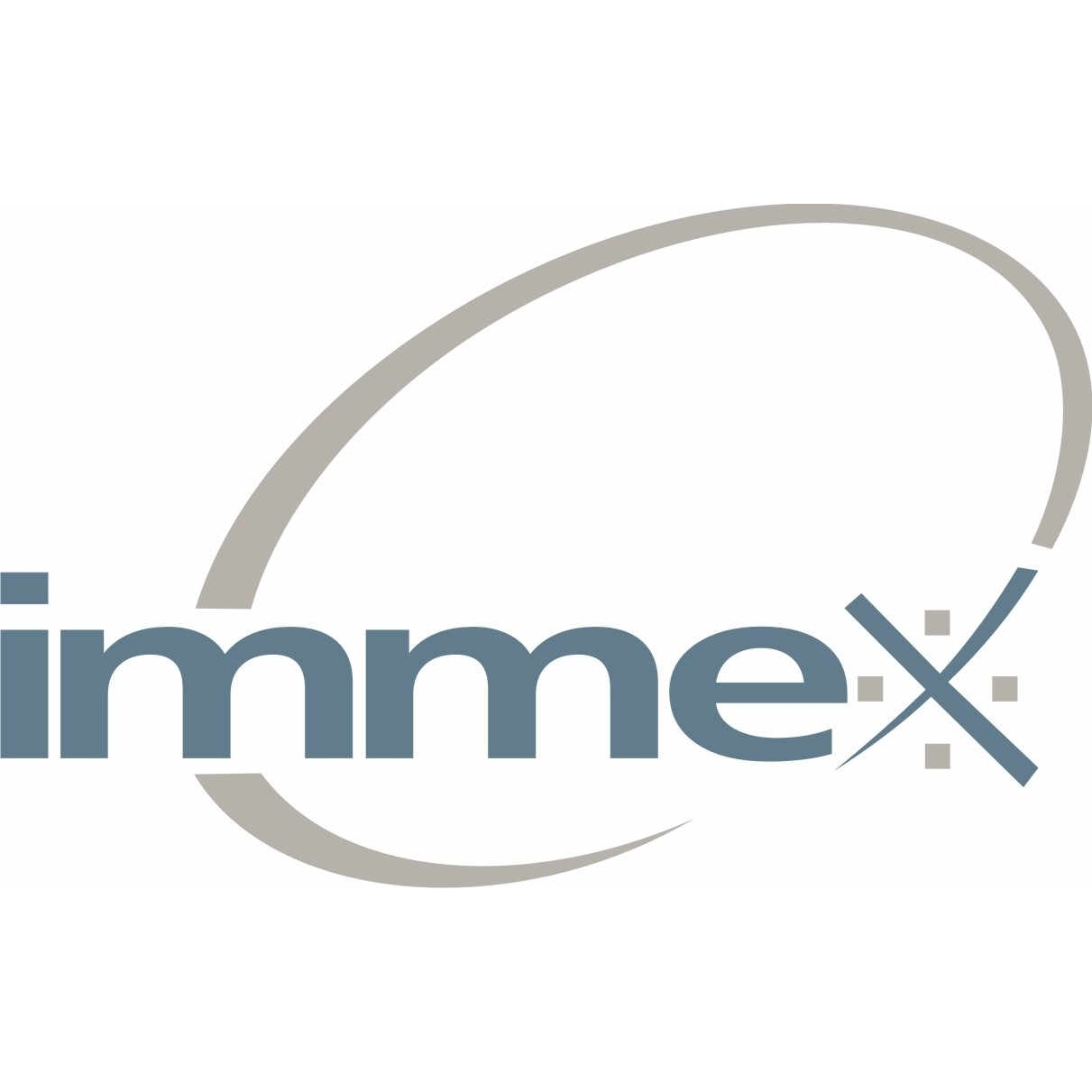 logo immex 1